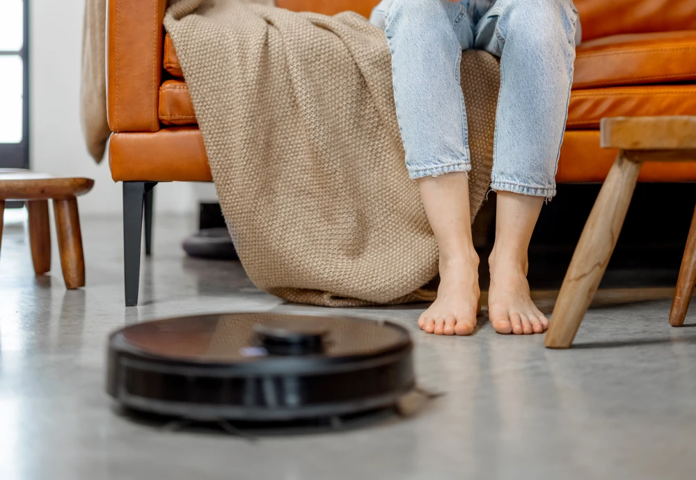 robotic vacuum cleaner and mop